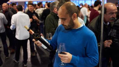 Vinofest Navarra